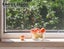 Traderight Insect Screen Mesh Flyscreen Doors Window Fly Net Fiberglass Roll 30M Carousel 7