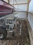 Loading Image 2 of 6