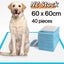 Per Training Pad 60x60cm Carousel 1