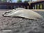 Megalodon Fossil Shark Tooth - 92.9mm / 3.6" Carousel 8