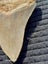 Megalodon Fossil Shark Tooth - 92.9mm / 3.6" Carousel 9