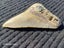 Megalodon Fossil Shark Tooth - 92.9mm / 3.6" Carousel 6
