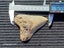 Megalodon Fossil Shark Tooth - 92.9mm / 3.6" Carousel 11