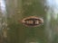 SEARCH LIGHT VINTAGE WW2 AMBULANCE etc Carousel 4