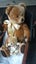LARGE VINTAGE BEAR + LITTLE ONE Carousel 3