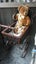 LARGE VINTAGE BEAR + LITTLE ONE Carousel 4