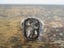MEN'S LARGE 12KT & SILVER/ORNATE RING. Carousel 2