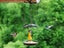 2 X Garden Bird Feeder Ornament Umbrella Girl Hanging Outdoor Decor Feeding Carousel 3