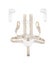 STOKKE Tripp Trapp Babyset Natural and Harness Bundle only Carousel 5