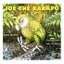 Joe the Kakapo Carousel 1
