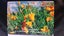 NZ Yellow Wildflower Fridge Magnets Carousel 1