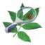 Loading Image 1 of 1