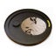 Solar Filter for 300mm Newtonian Telescopes. Carousel 1