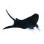 Sea Life Boxed Set, 5pcs Carousel 3
