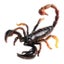 Loading Image 1 of 2
