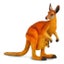 Loading Image 1 of 1