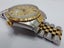 Rolex Datejust 31mm Carousel 3