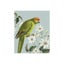 Loading Image 1 of 1