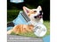 PTN NEW Dog Grooming Brush Sale Sale Carousel 12