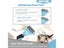 PTN NEW Dog Grooming Brush Sale Sale Carousel 15