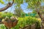 gallery view thumbnail