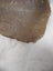Old Neolithic Butter Flint From France - Large Hand Scraper - SSXX 5568 Carousel 3
