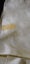 Lemon Yellow Crepe - 346 x 112cm Carousel 2