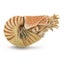 Loading Image 1 of 1