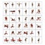 Dumbbell Set Carousel 4