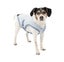 DOG COOLING COAT KURGA SMALL Carousel 1