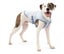 DOG COOLING COAT KURGA SMALL Carousel 5