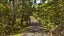 gallery view thumbnail