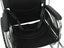 Wheelchair Carousel 3