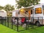 PTN New Pet Play Pen Sale Sale Carousel 6