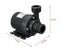 12V Water Pump Automatic Carousel 6
