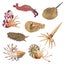 Loading Image 1 of 9