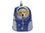 Cat Bag Medium Carousel 4