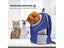 Cat Bag Medium Carousel 8