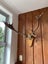 Deer Antlers Carousel 1