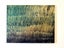 DAWN MIST LEGEND OF THE KERERU - GOLD LEAF Carousel 5