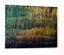 DAWN MIST LEGEND OF THE KERERU - GOLD LEAF Carousel 6