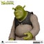 Shrek Posed Figure (PVC Statue) with McFarlane Digital Collectible (Gold Label) Carousel 9