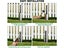 Loading Image 10 of 10