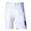 Almax Painters Shorts Carousel 1