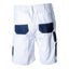 Almax Painters Shorts Carousel 2