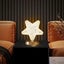 LED Night Light Lamp Star Table Lamp Carousel 3