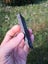 $1 reserve Pounamu greenstone slab translucent Carousel 4