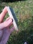Pounamu greenstone slice translucent totoweka Carousel 3