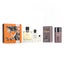 HERMES - Hermes Terre D'Hermes Pure Set + Terre D'Hermes Deodorant Stick 2pcs Carousel 2