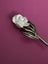 STERLING SILVER WHITE ROSE Vintage BROOCH Carousel 6